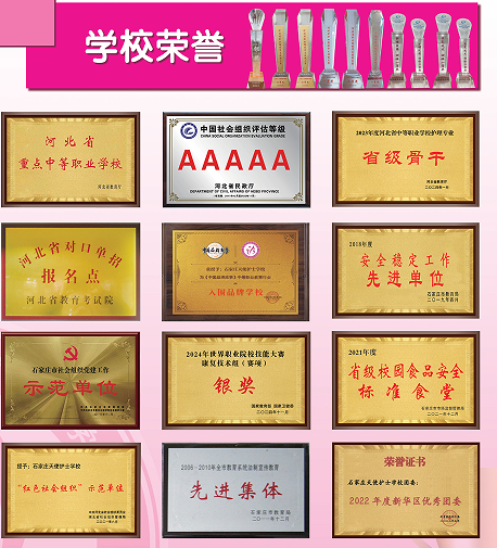 石家庄天使护士学校学校荣誉.png