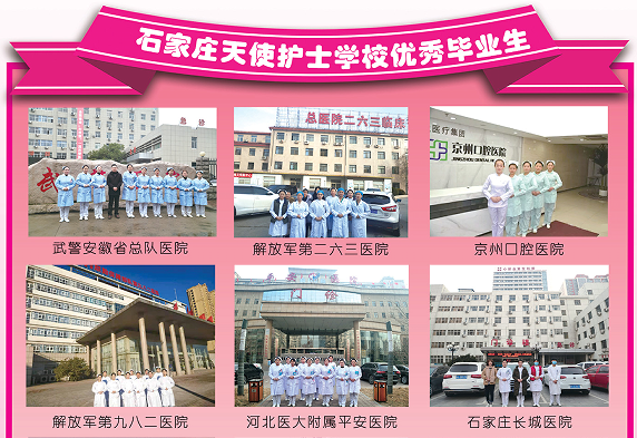 石家庄天使护士学校优秀毕业证.png