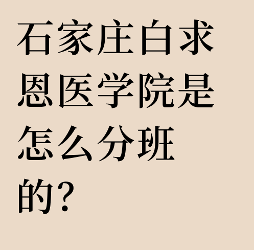 sjd.png