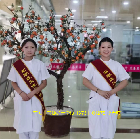 石家庄天使护士学校招生简章02.png
