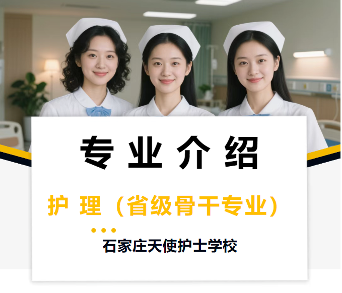 石家庄天使护士学校.png