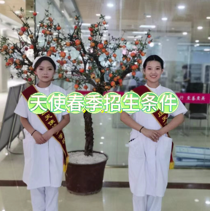 sjztiansh.png